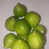 Green Ischia Verte Fig