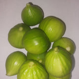 Lattarulla Fig