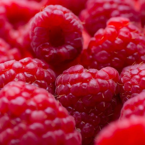 Buy Online Nova Red Raspberry Fruit Plants For Your Home & Garden