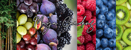 Maya Gardens, Inc.