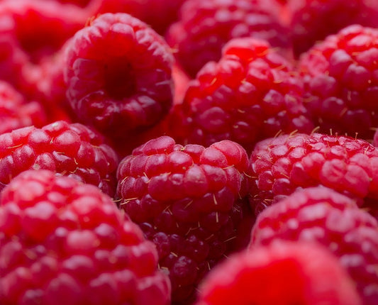 Raspberry Planting Guide