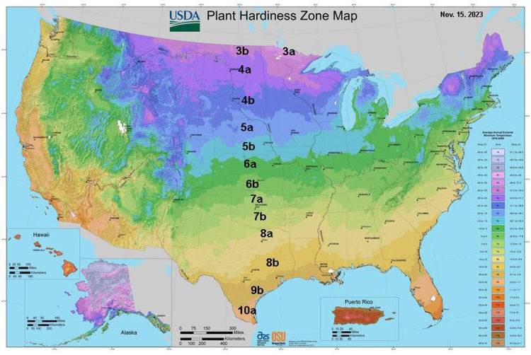 Find Your Plant Hardiness Zone Here – Maya Gardens, Inc.