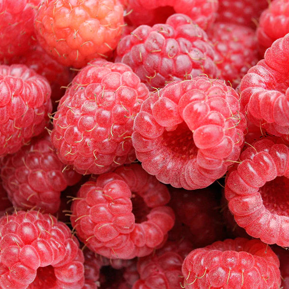 Our Raspberry Collection