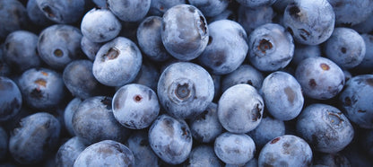 Sunshine Blue Blueberry